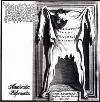 Mangled Torsos : Anatomia Reformata